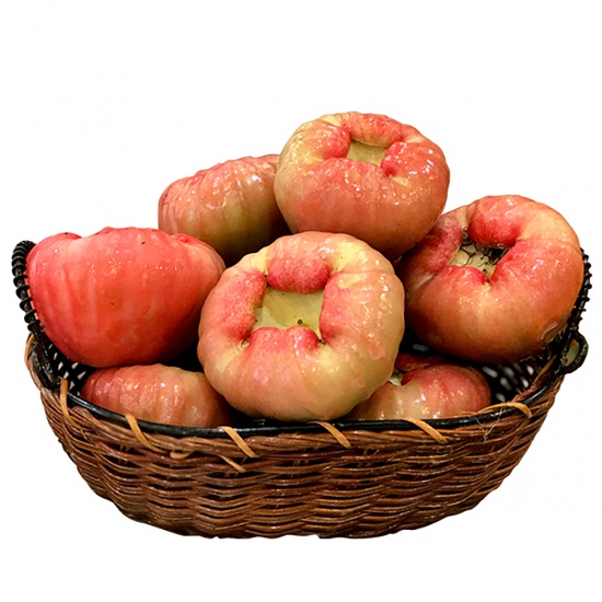 Mận đá đường mới hái siêu ngọt